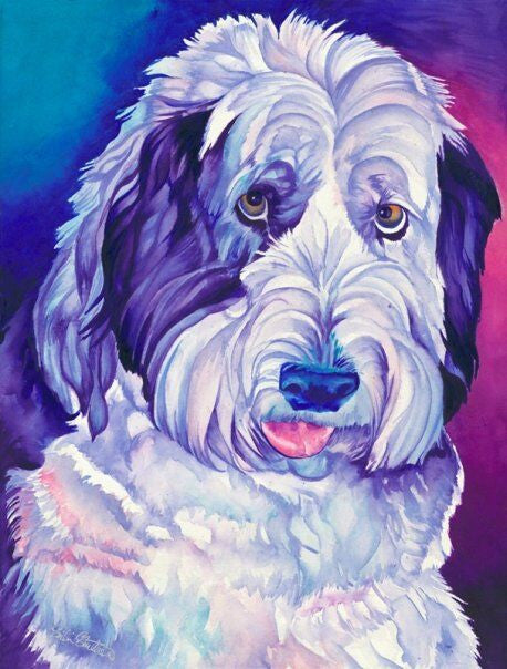 Shaggy Daisy: Signed Print from original watercolor dog painting.