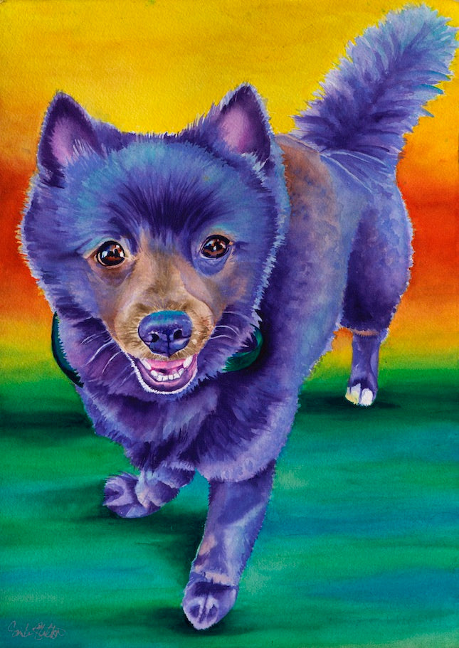 Han Solo: Signed Print from original watercolor dog painting.